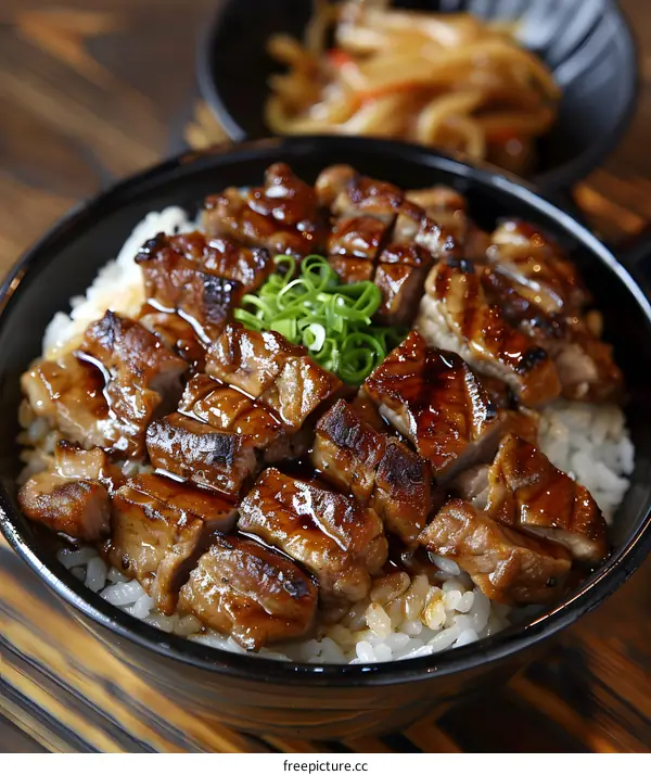 Close Up of Delicious Japanese Food with Rice and Meat