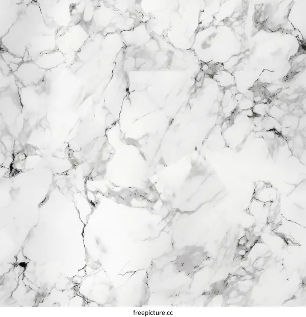 Abstract Black and White Marble Background
