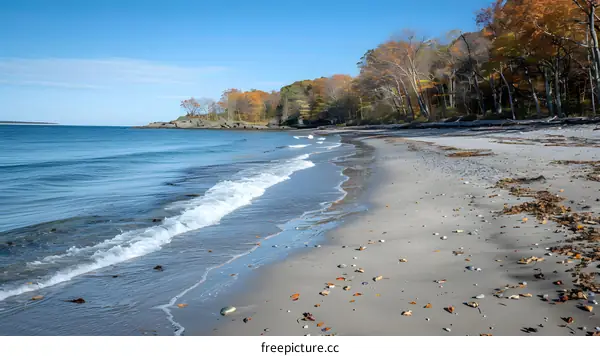 Autumn Waves on the Beach