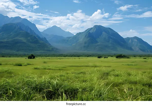 Green Meadow with Mountains in the Background