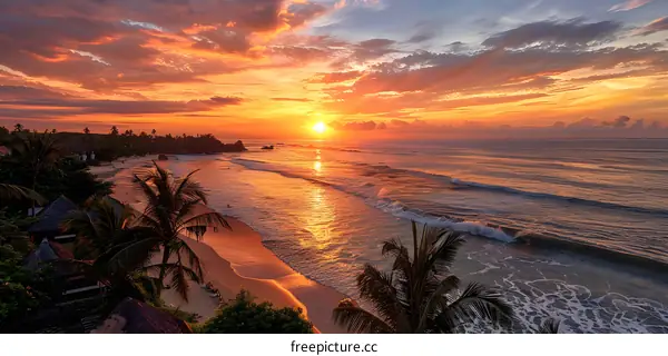 Beautiful sunset over the ocean with palm trees in the foreground
