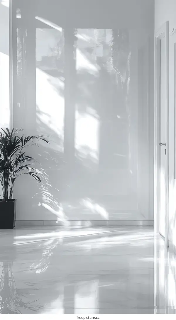 Modern Interior with Sunlight and Shadows