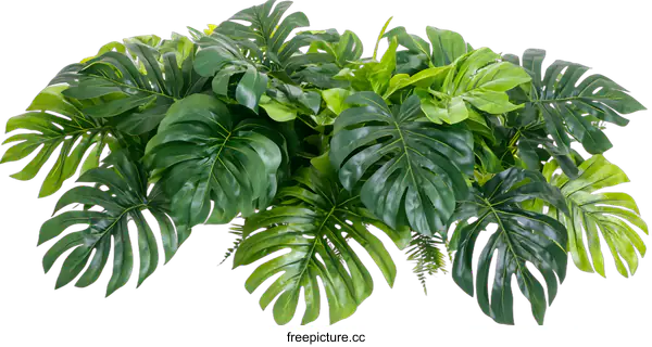 [Transparent Background PNG]Green Tropical Leaves Background