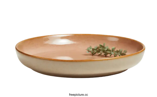 [Transparent Background PNG]Elegant Terracotta-Colored Round Dish with Subtle Gradient