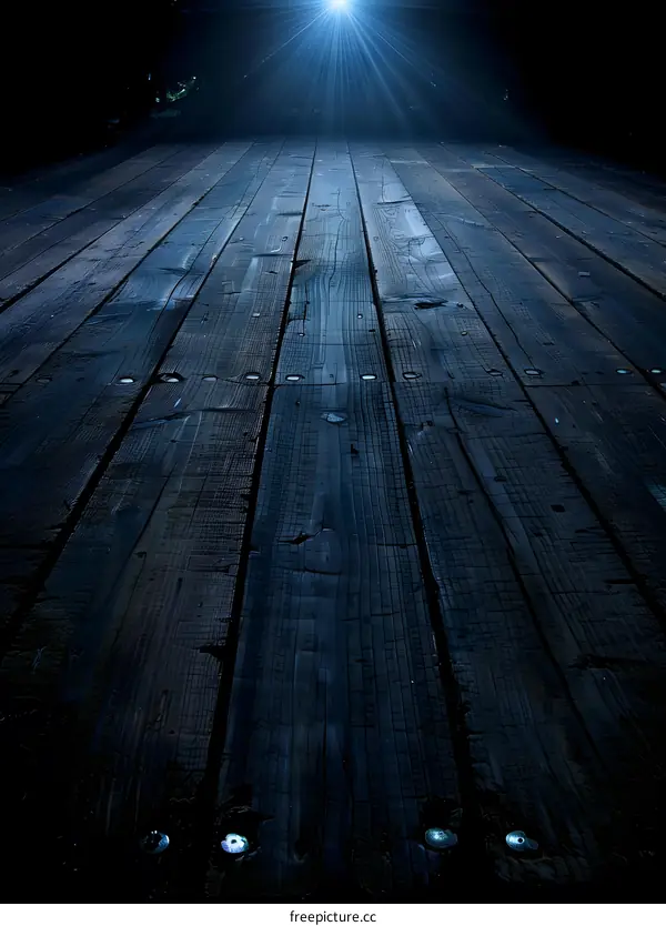 Dark Wooden Floor with Light