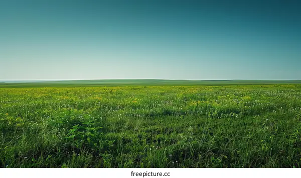 Green Grass Field Under Clear Blue Sky