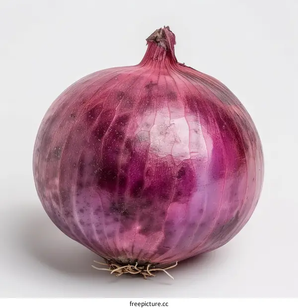 Single red onion bulb
