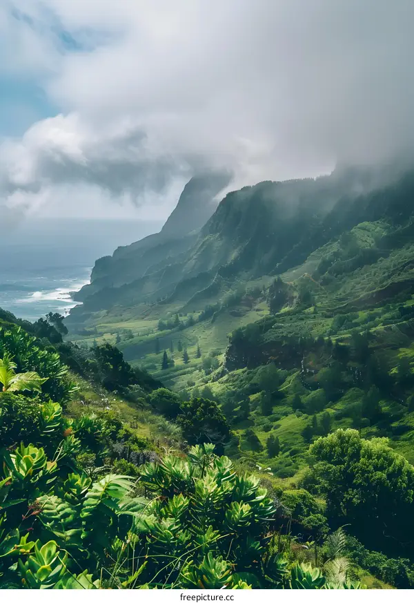 Green Mountains with Fog and Ocean View