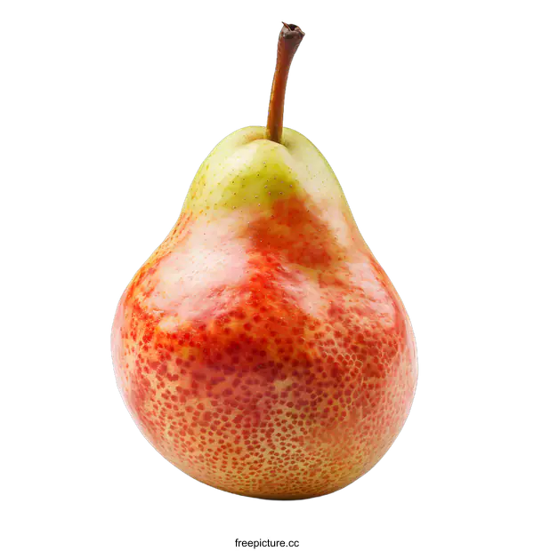 [Transparent Background PNG]single pear with stem