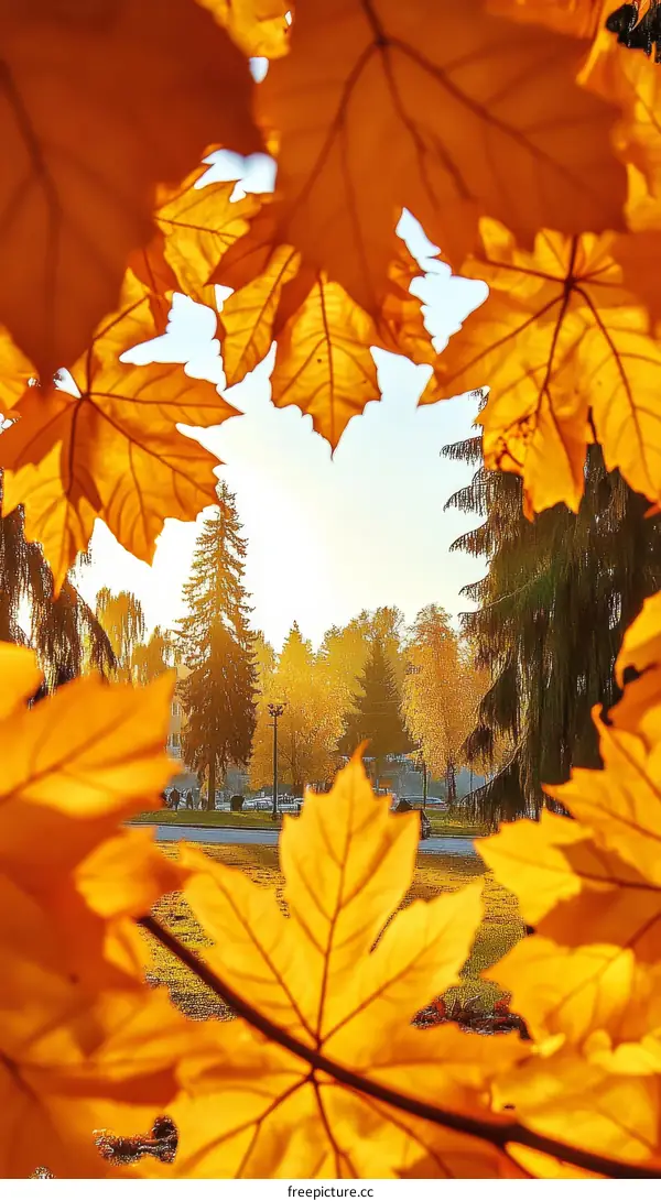 Autumnal Golden Leaves Framing a Park Scene