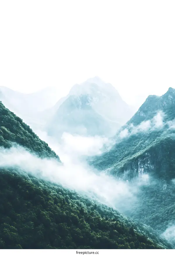 Misty Mountains with Green Trees