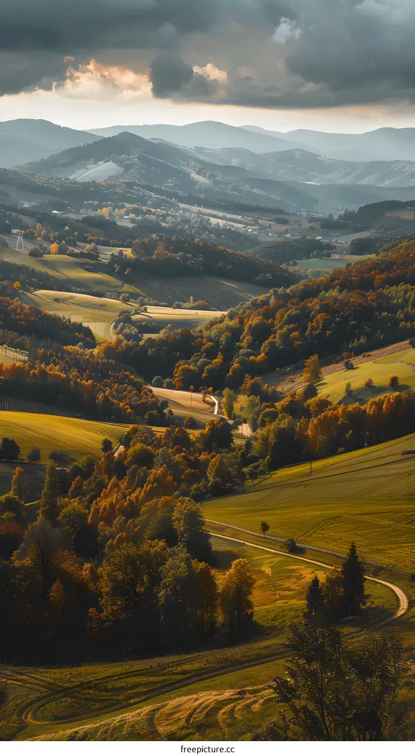 Autumn Landscape with Rolling Hills and Winding Road