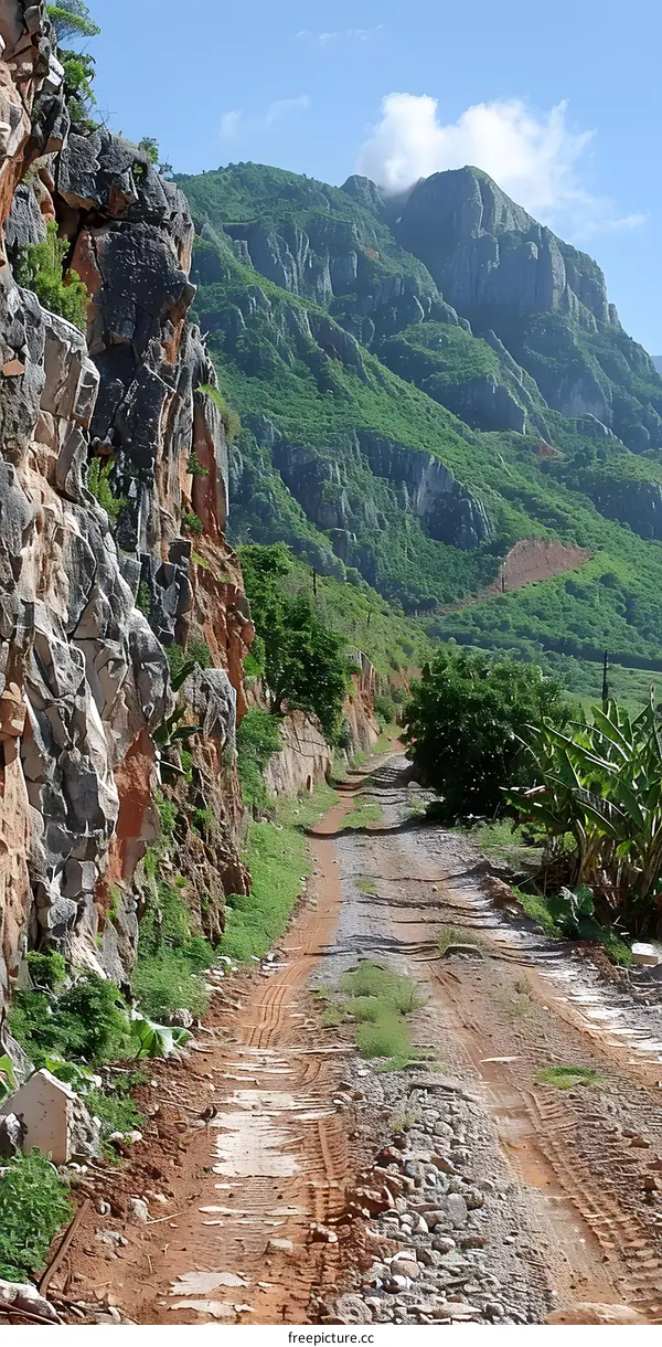 Rocky Dirt Road in the Mountains