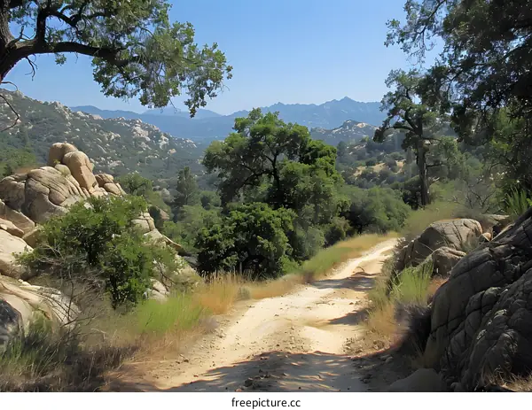 Dirt road through California chaparral
