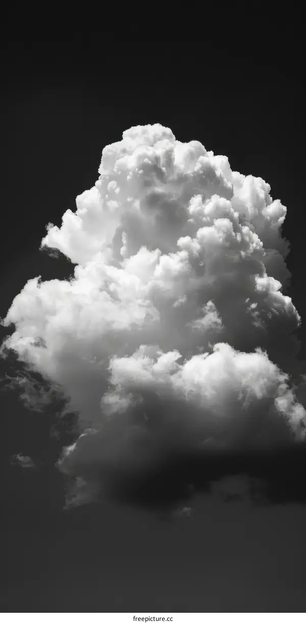 Black and white photo of a cumulonimbus cloud