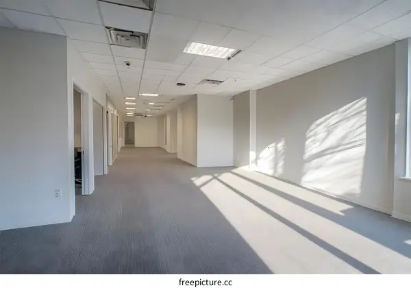 Empty Office Space with Grey Carpet and Natural Light