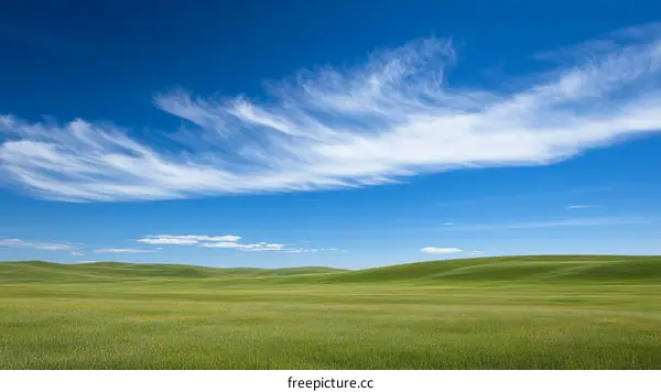 Vast Green Prairie Under a Clear Blue Sky