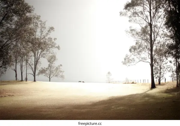 Peaceful Countryside Landscape with Trees