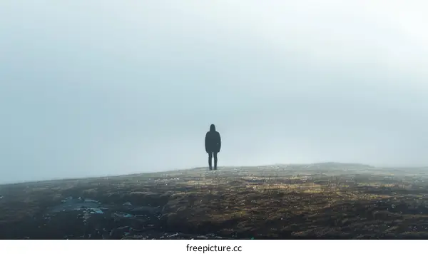 Person standing alone in a foggy landscape