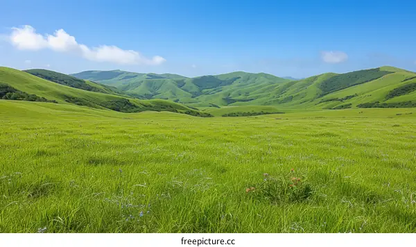 Vast green rolling hills under blue sky