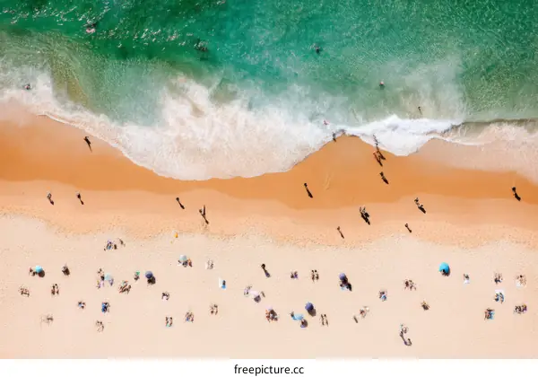 Aerial View of Crowded Beach Scene