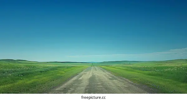 The vast grassland scenery under the blue sky