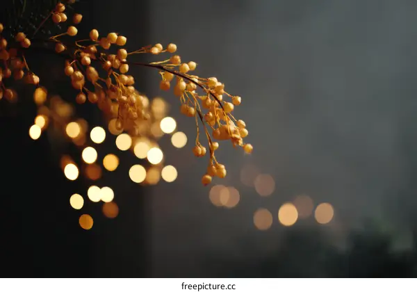 Golden Berries Against Dark Bokeh Background