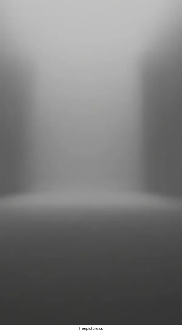 Empty Gray Foggy Studio Background