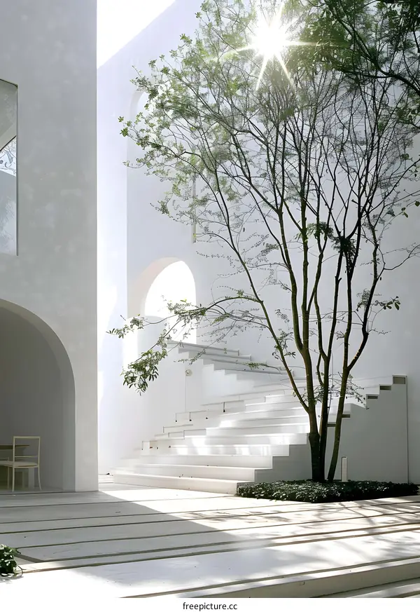 White Minimalist Architecture with Sunlight Through Tree