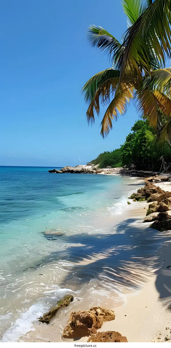 Secluded beach with turquoise water and palm trees
