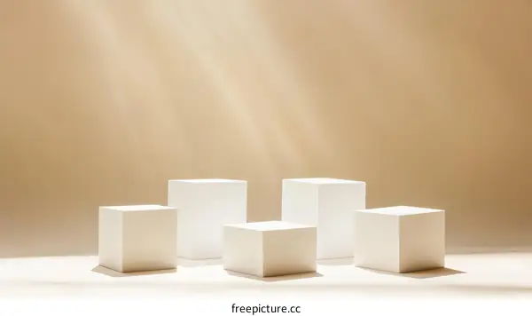 Modern Minimalist Display Podiums