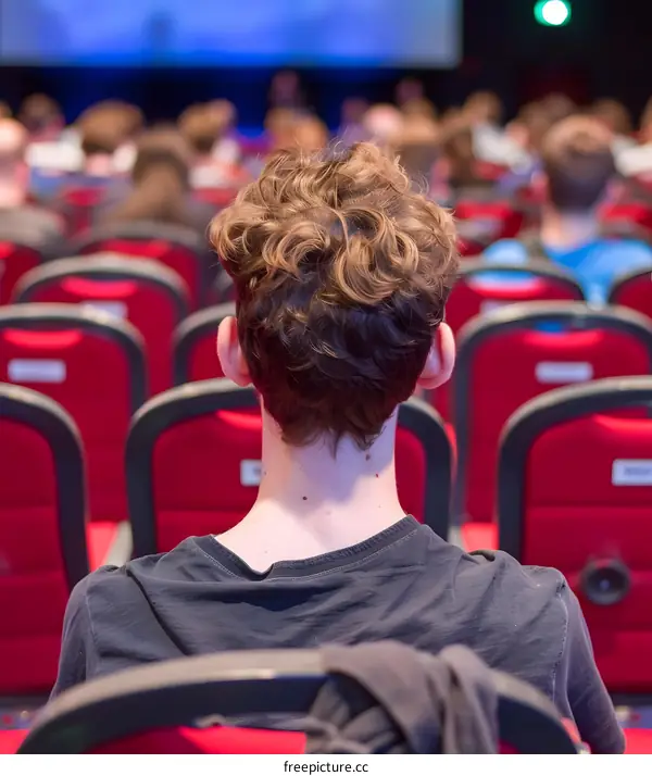 Rear View of a Young Man in a Concert Hall
