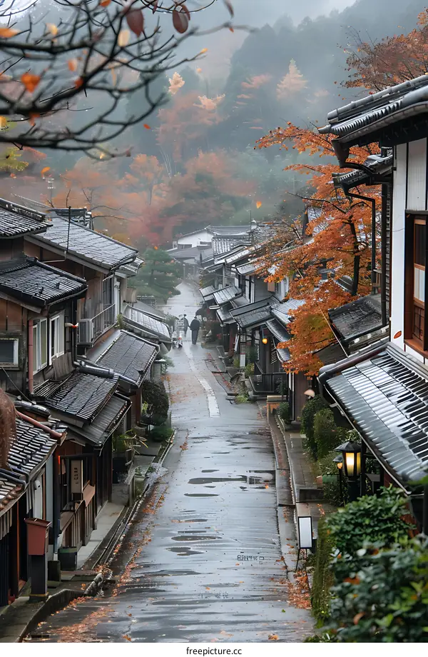 Rainy Autumn Day in a Traditional Japanese Village