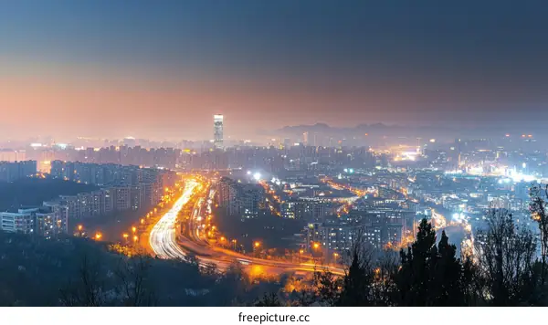 Night Cityscape Skyline High Angle View