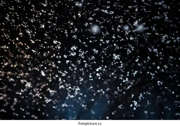 Delicate Snowflake Macro Photography Against Black Background