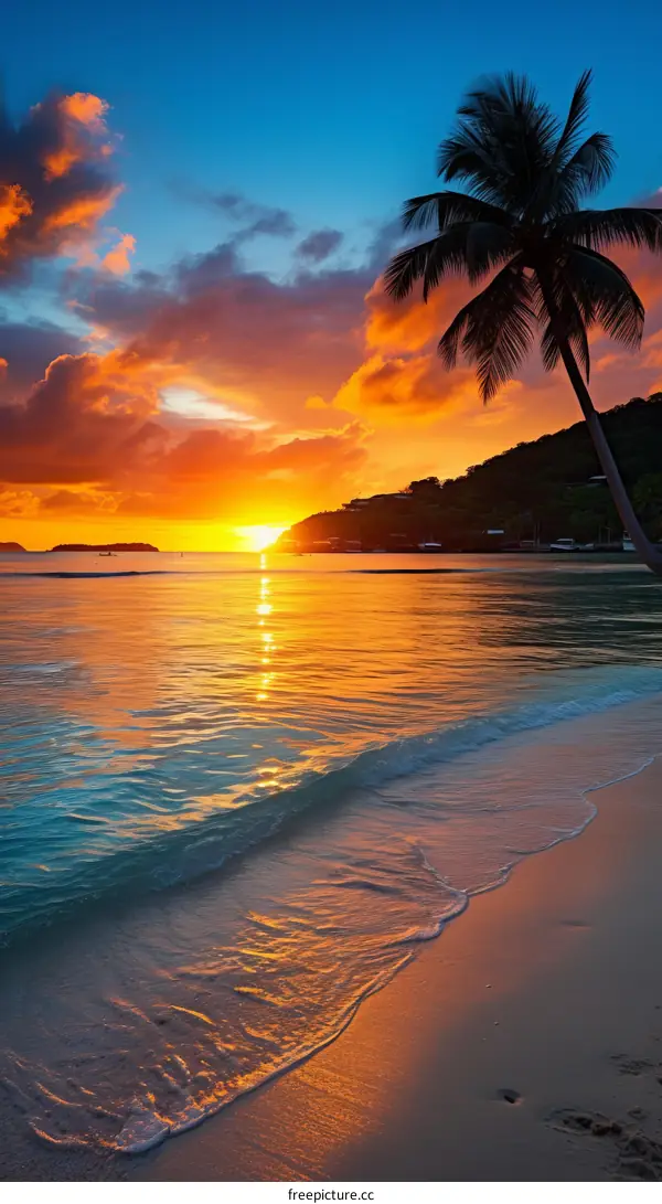 Tropical Beach Sunset with Palm Trees and Crystal Clear Water