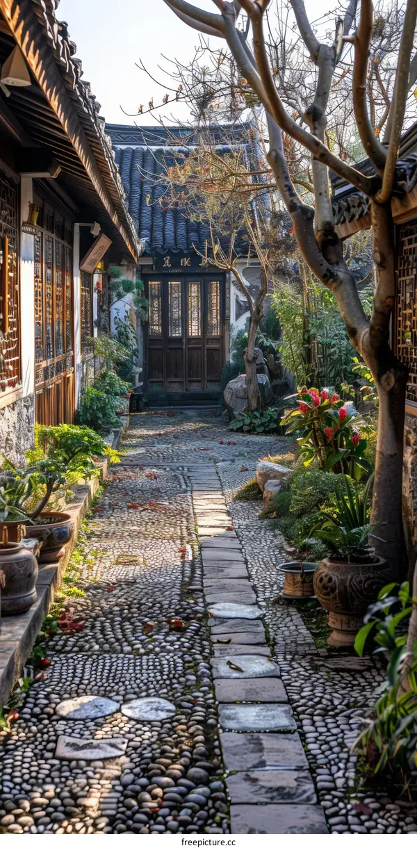 Chinese Courtyard with Stone Path, Trees, and Plants