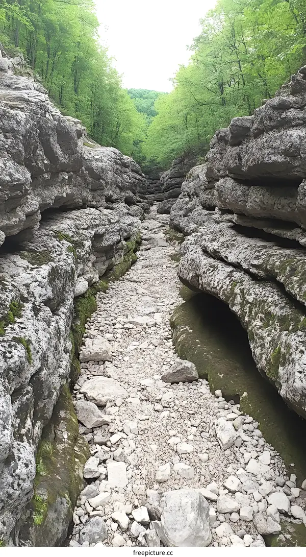 Narrow Gorge Path with Stone Walls and Green Trees