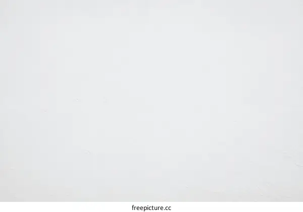Plain White Wall Texture Background