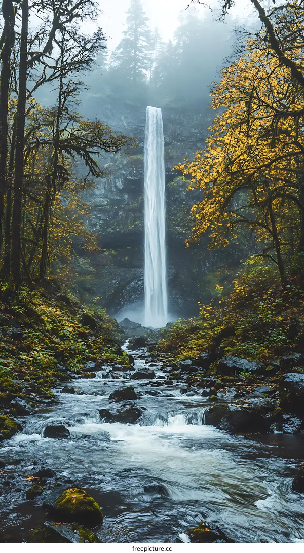 Tall Waterfall In The Forest