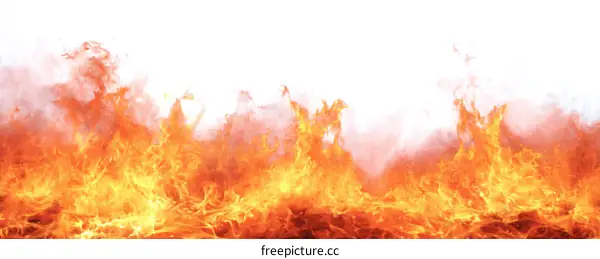 Fierce Flames Against a Blank Canvas