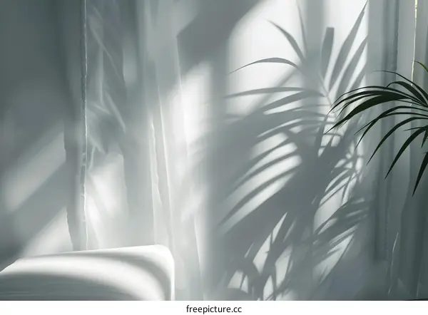 Abstract Shadow Of Palm Leaf On White Curtain
