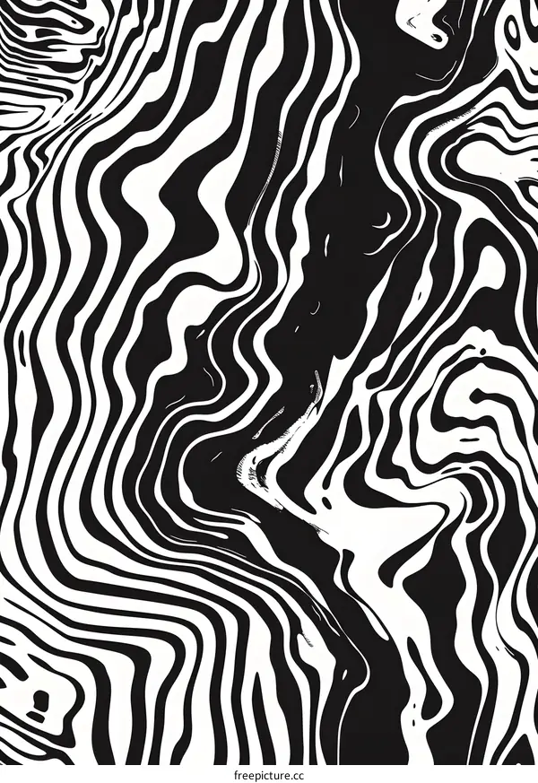 Black and White Zebra Stripes