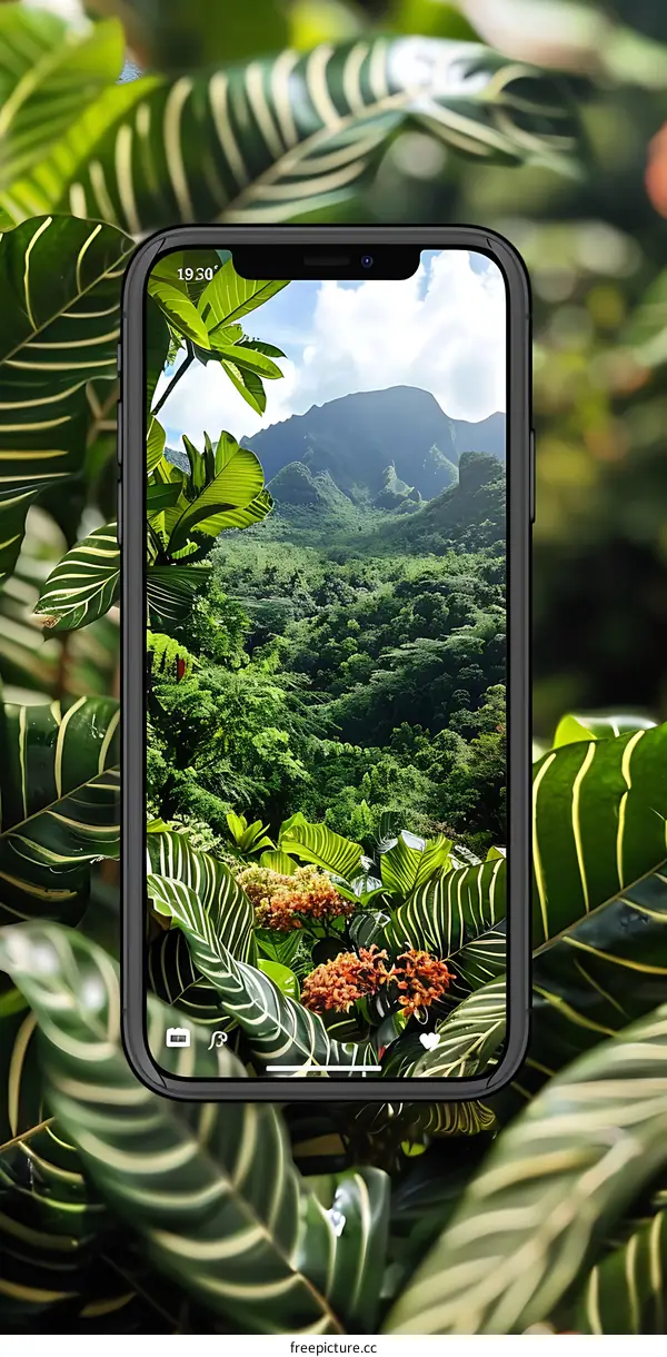 Mobile Phone Displaying Green Tropical Mountain Landscape
