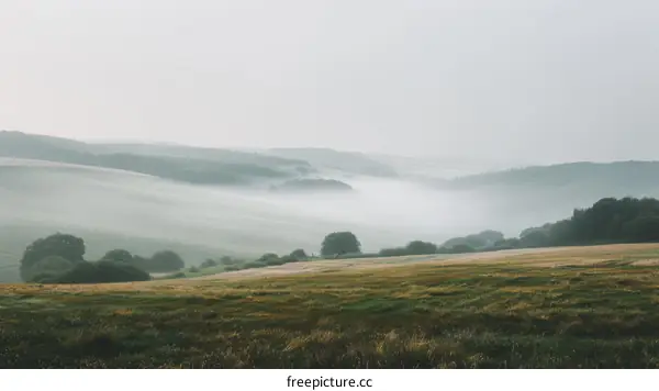 Misty mountain landscape with fog in the valley