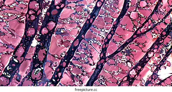 Abstract Pink and Black Swirls Pattern