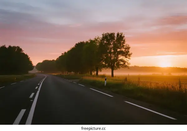Beautiful sunrise over an empty country road with trees on both sides