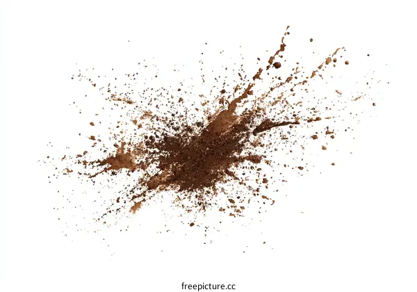 Brown Dirt Splatter Isolated on White Background