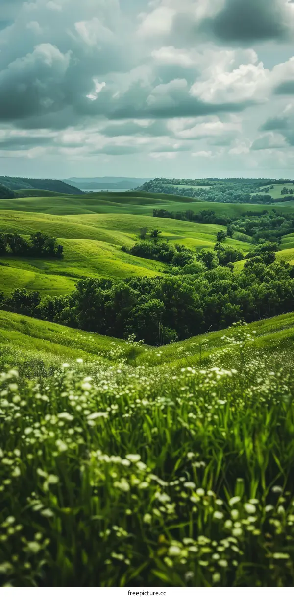 Green Hills with Flowers
