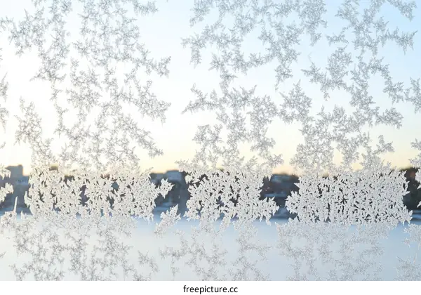 Winter Frost Patterns on a Window